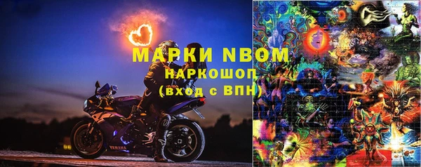 apvp Белокуриха
