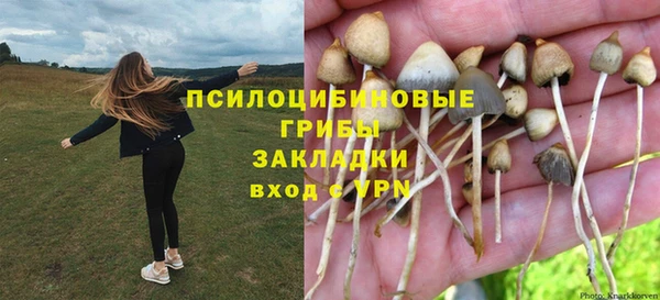 apvp Белокуриха
